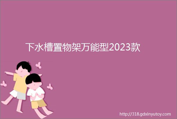 下水槽置物架万能型2023款