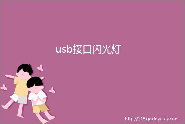 usb接口闪光灯