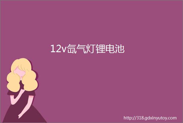 12v氙气灯锂电池