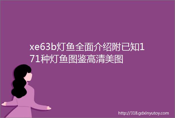 xe63b灯鱼全面介绍附已知171种灯鱼图鉴高清美图