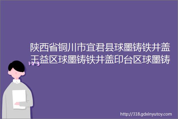 陕西省铜川市宜君县球墨铸铁井盖王益区球墨铸铁井盖印台区球墨铸铁井盖耀州区球墨铸铁井盖厂家直销