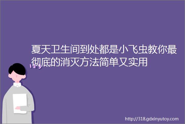 夏天卫生间到处都是小飞虫教你最彻底的消灭方法简单又实用