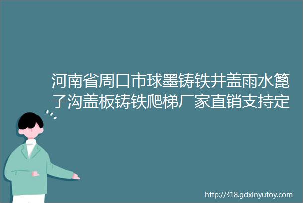 河南省周口市球墨铸铁井盖雨水篦子沟盖板铸铁爬梯厂家直销支持定制